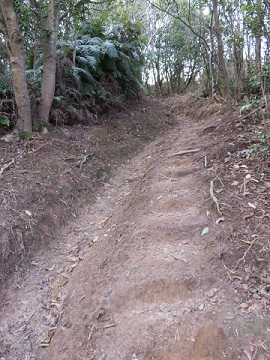 写真：登山道