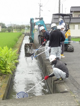 写真:用水路の藻の除去作業