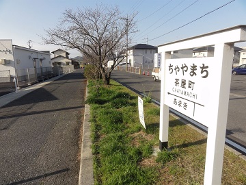 写真：自転車道に沿いに植えられているソメイヨシノ