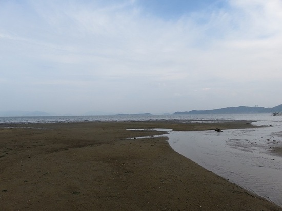 写真:干潟