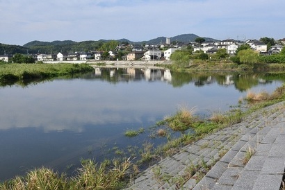写真:川の合流部