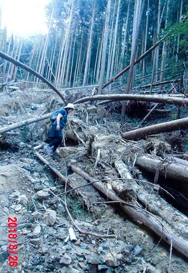 写真：土砂崩れの様子1