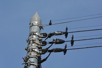 写真:電線と鳥