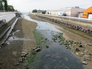 写真:川1