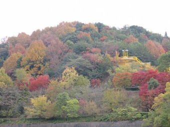 写真：紅葉2