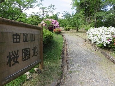 写真:由加山