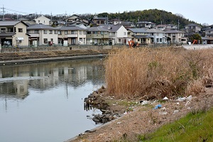 写真：倉敷川のゴミ2