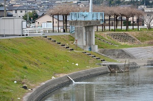 写真：倉敷川のゴミ1