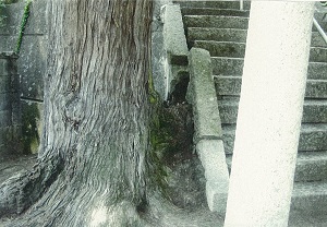 写真：荒神社4