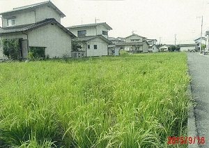 写真：休耕田