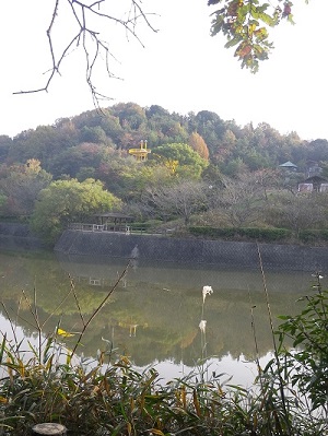 写真：中山公園