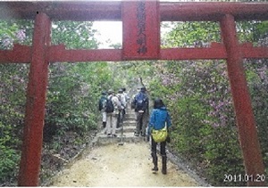写真：佐渡稲荷大明神の参道