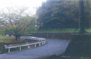 写真：裏山散歩コース2