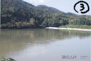 写真:森池