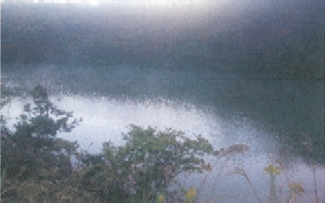 写真：長田池の湯気