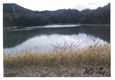 写真：砂池