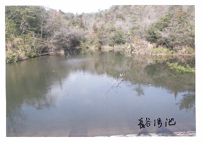 写真：長谷1号1池