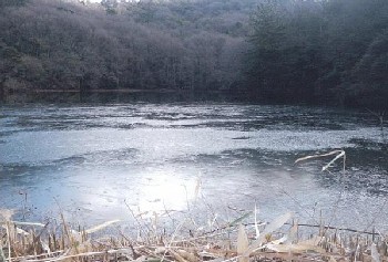 写真：大沢地1