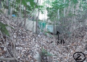 写真:簡易トイレ