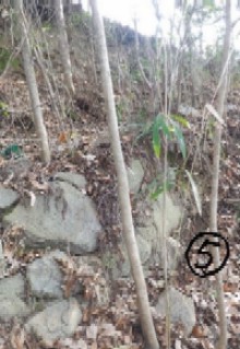 荒れた道2