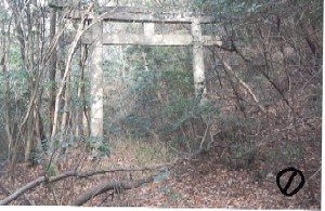 写真:鳥居