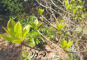写真：リョーブ