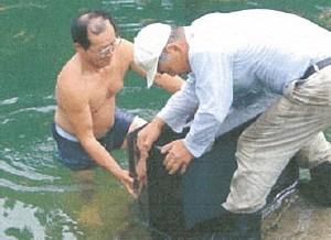 写真：沼地に投げ込まれたテレビの回収