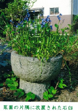 写真：菜園の片隅に放置された石臼