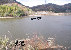写真：見池