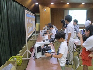 写真：実験の様子
