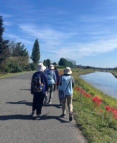 写真：ウォーキング大会の様子