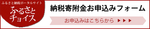 ふるさと納税ポータルサイトふるさとチョイス　納税寄附金お申込みフォーム　お申込みはこちらから（外部リンク・新しいウィンドウで開きます）