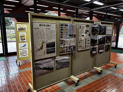 東日本大震災の展示