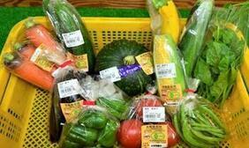 写真:有機野菜