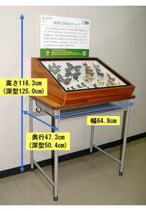 標本展示セット